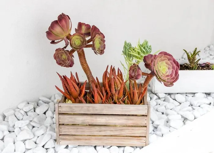 Esclusivo Per Due Appartement