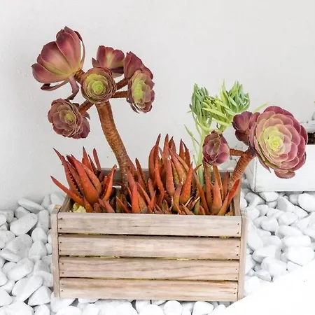 Esclusivo Per Due Apartament